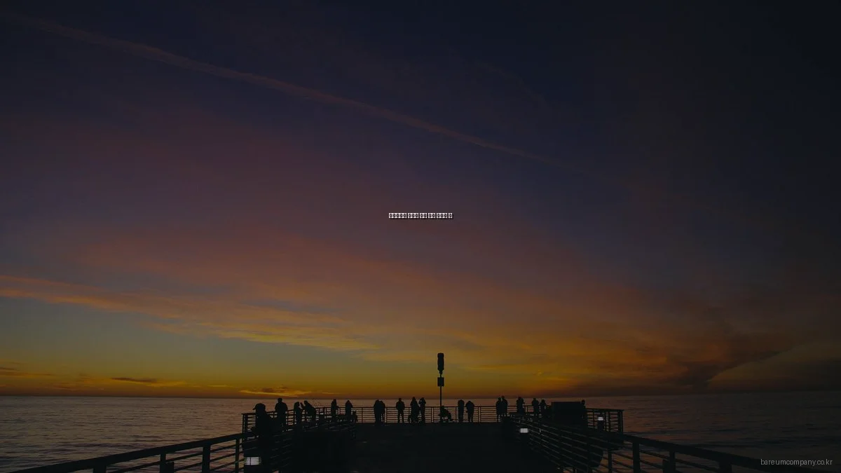 바름컴퍼니 서비스 실제 사용 후기와 팁