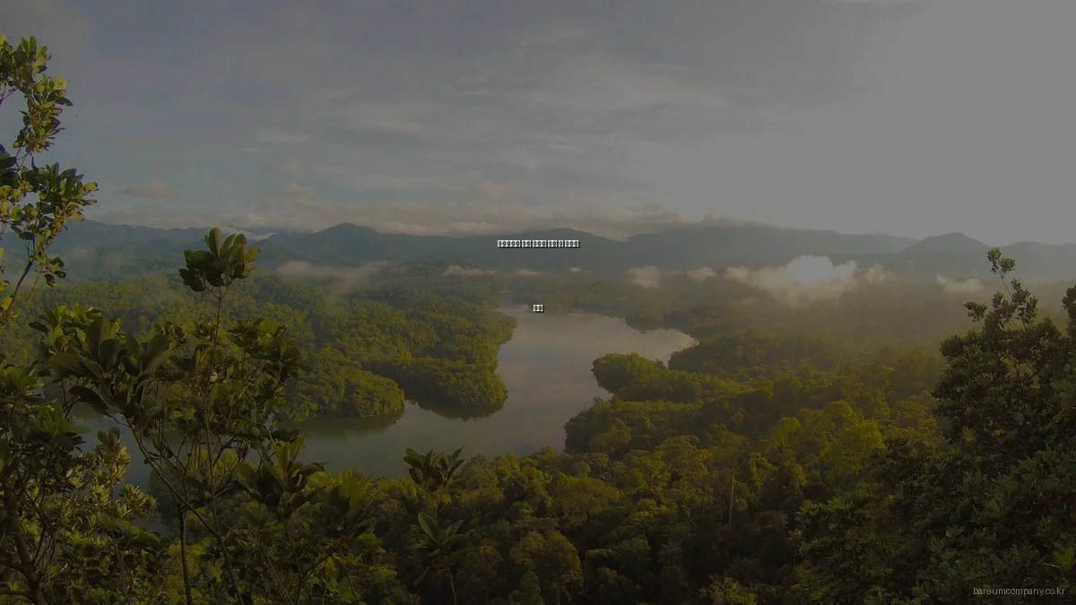 바름컴퍼니 주요 서비스 비교 및 상황별 추천