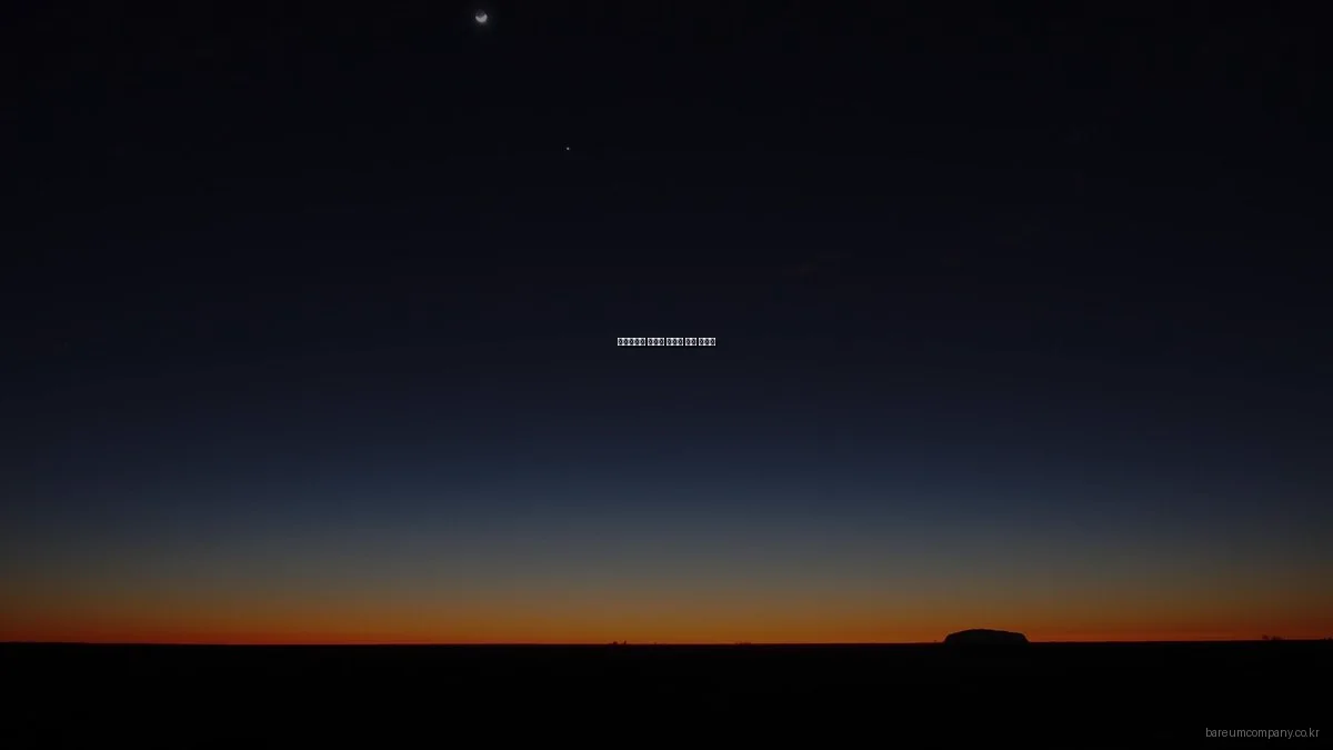 바름컴퍼니 서비스 예산별 추천 가이드