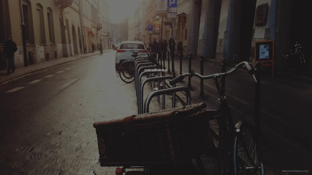 바름컴퍼니 서비스의 예산별 가치 평가 및 추천