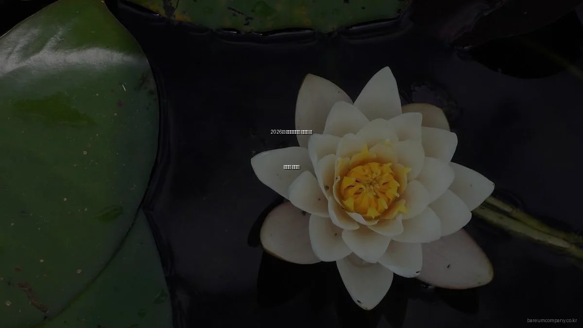 2026년 바름컴퍼니가 알아야 할 컨설팅 트렌드