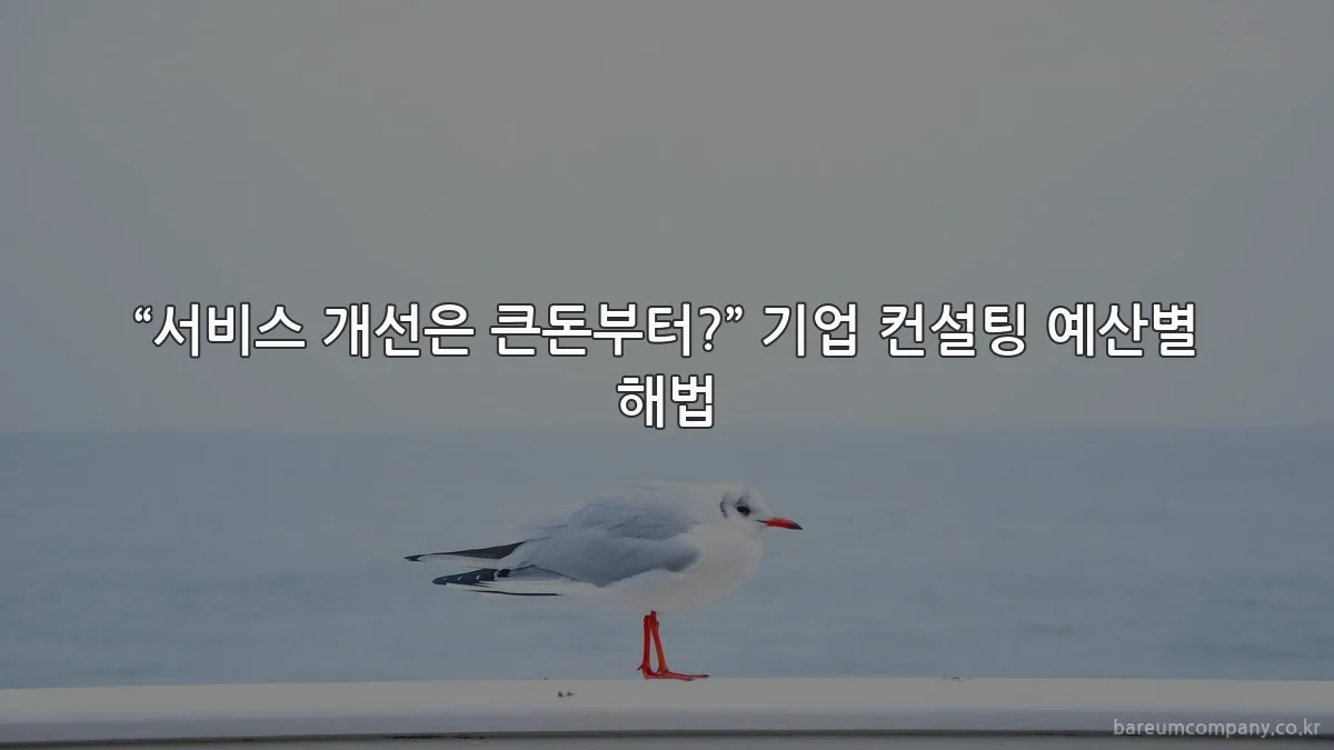 “서비스 개선은 큰돈부터?” 기업 컨설팅 예산별 해법