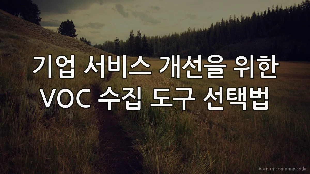 기업 서비스 개선을 위한 VOC 수집 도구 선택법