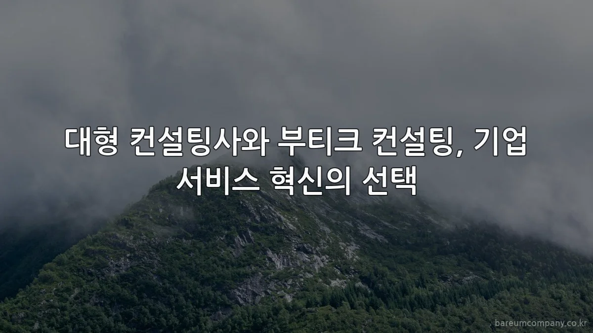 대형 컨설팅사와 부티크 컨설팅, 기업 서비스 혁신의 선택