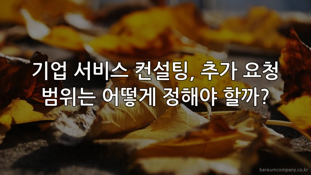 기업 서비스 컨설팅, 추가 요청 범위는 어떻게 정해야 할까?