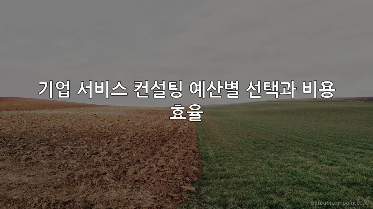 기업 서비스 컨설팅 예산별 선택과 비용 효율