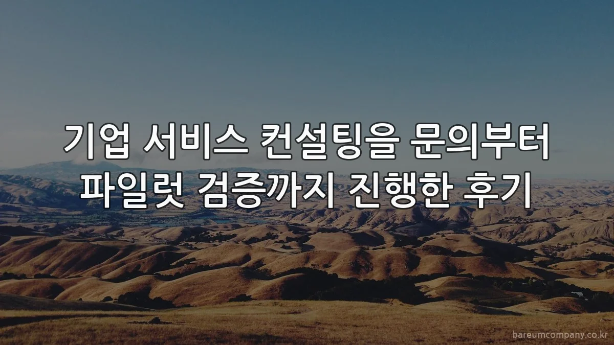 기업 서비스 컨설팅을 문의부터 파일럿 검증까지 진행한 후기