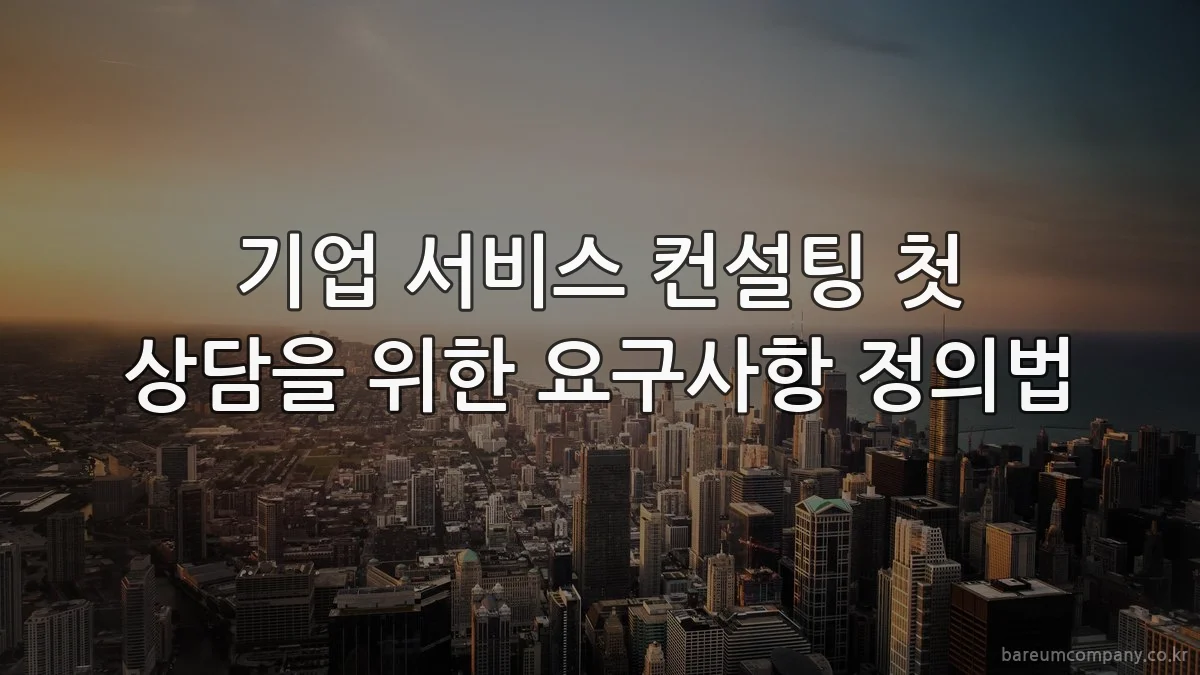 기업 서비스 컨설팅 첫 상담을 위한 요구사항 정의법