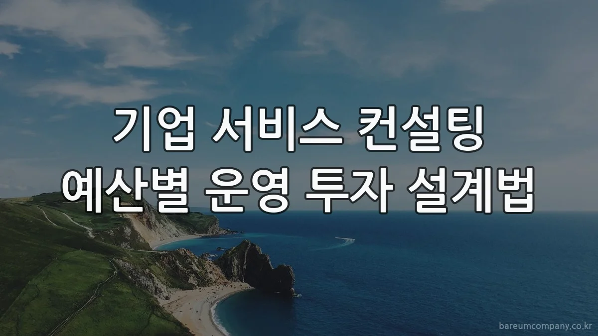 기업 서비스 컨설팅 예산별 운영 투자 설계법