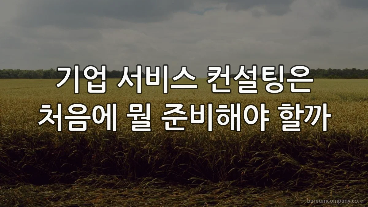 기업 서비스 컨설팅은 처음에 뭘 준비해야 할까
