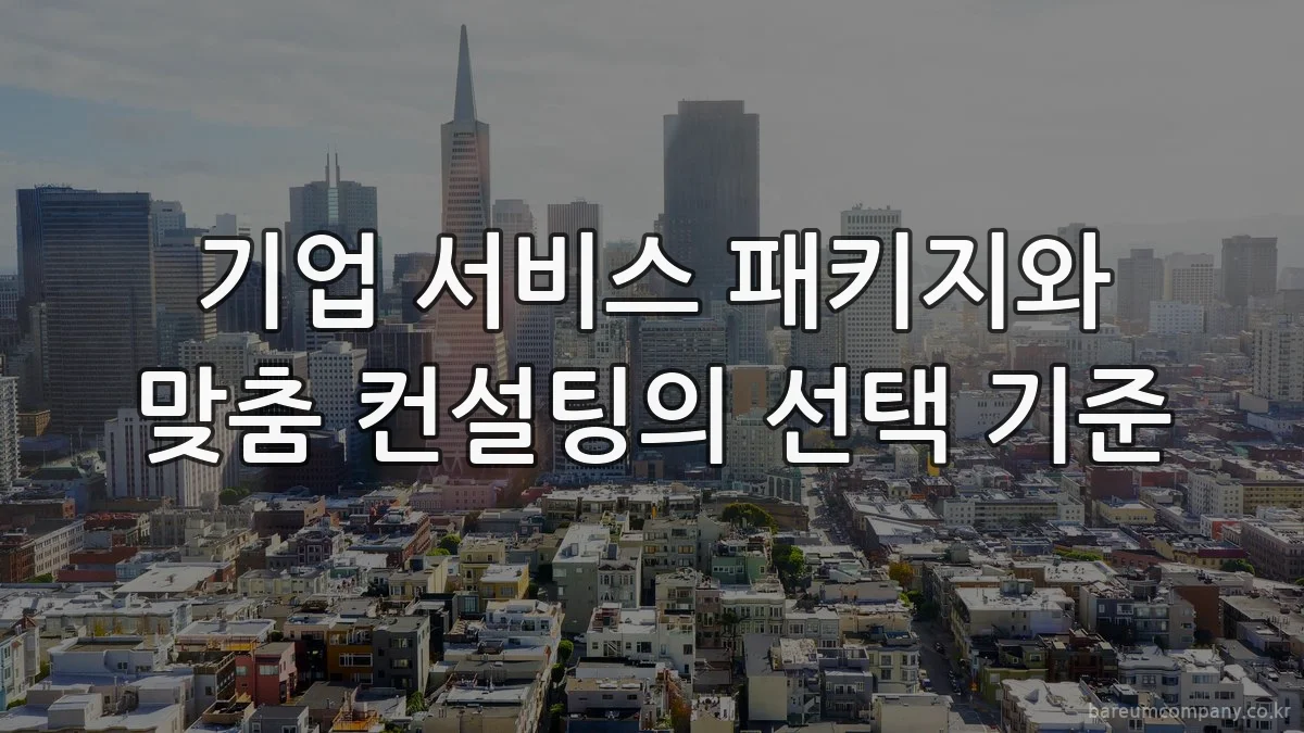 기업 서비스 패키지와 맞춤 컨설팅의 선택 기준