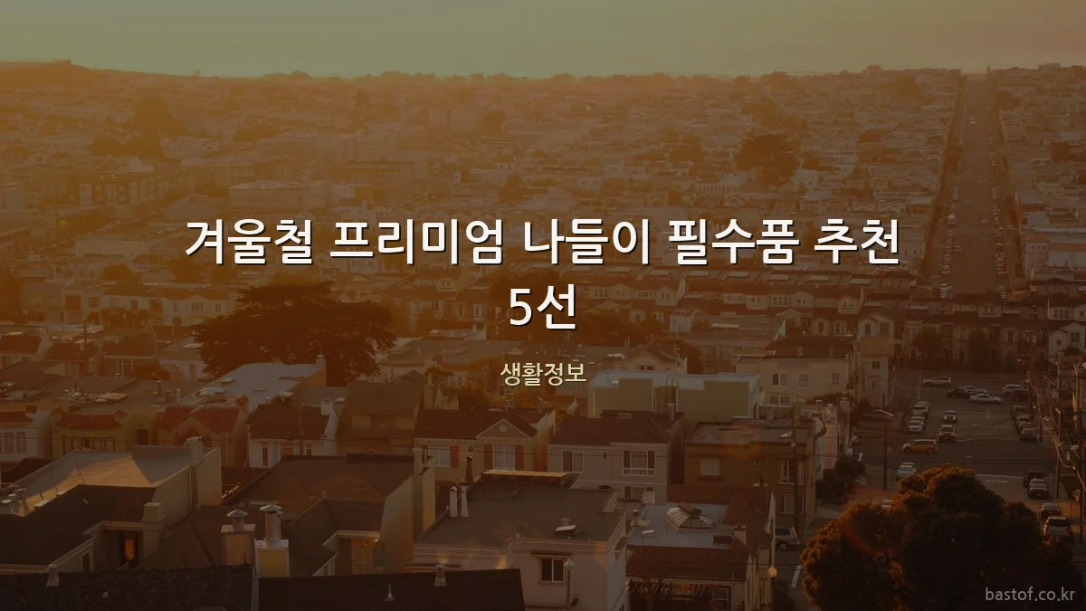 겨울철 프리미엄 나들이 필수품 추천 5선