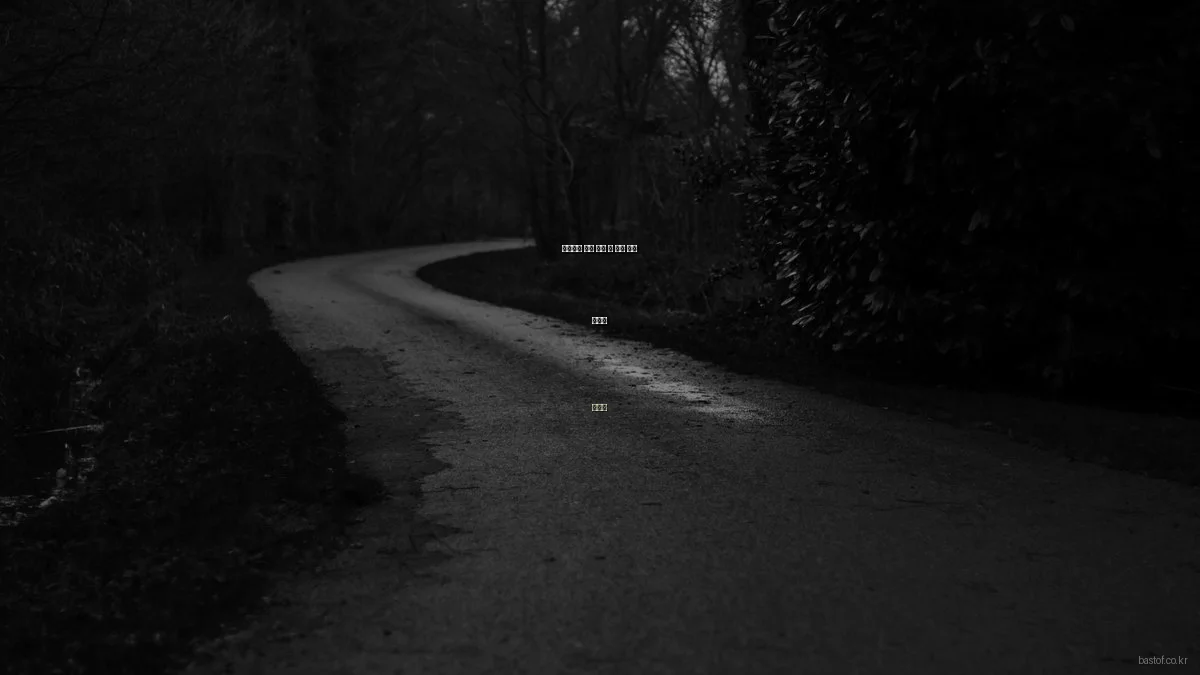 프리미엄 제품 구매 전 필수 점검 가이드