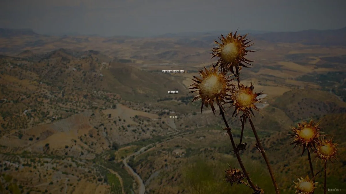 프리미엄 제품의 흔한 고장 원인과 해결법 가이드