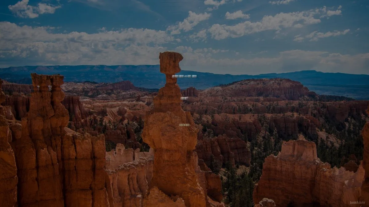 프리미엄 전시회 vs 공연: 무엇을 선택할까?