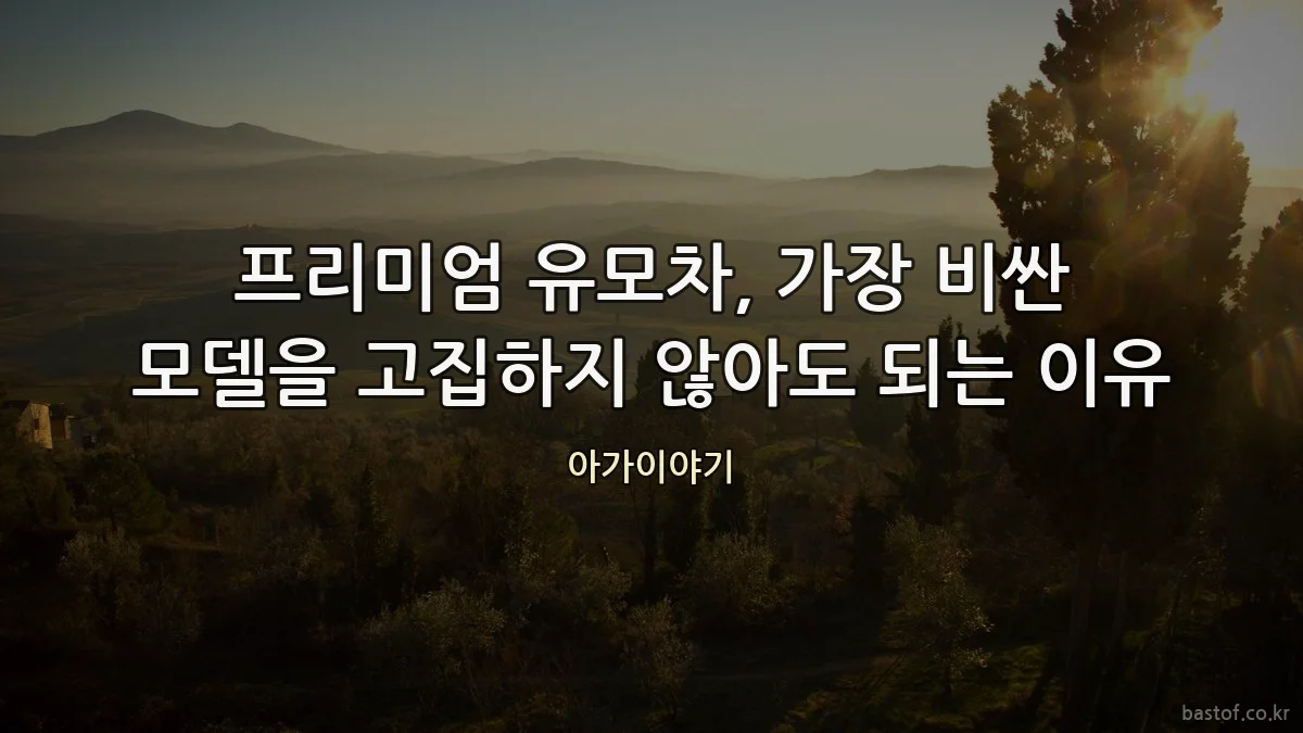 프리미엄 유모차, 가장 비싼 모델을 고집하지 않아도 되는 이유