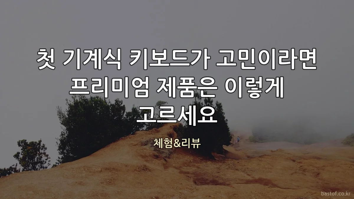 첫 기계식 키보드가 고민이라면 프리미엄 제품은 이렇게 고르세요