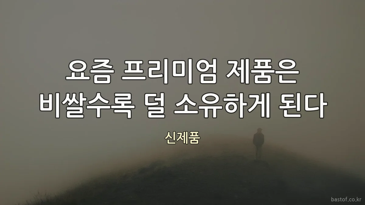 요즘 프리미엄 제품은 비쌀수록 덜 소유하게 된다