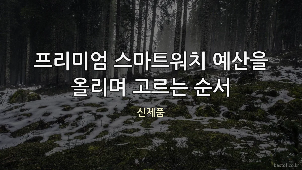 프리미엄 스마트워치 예산을 올리며 고르는 순서