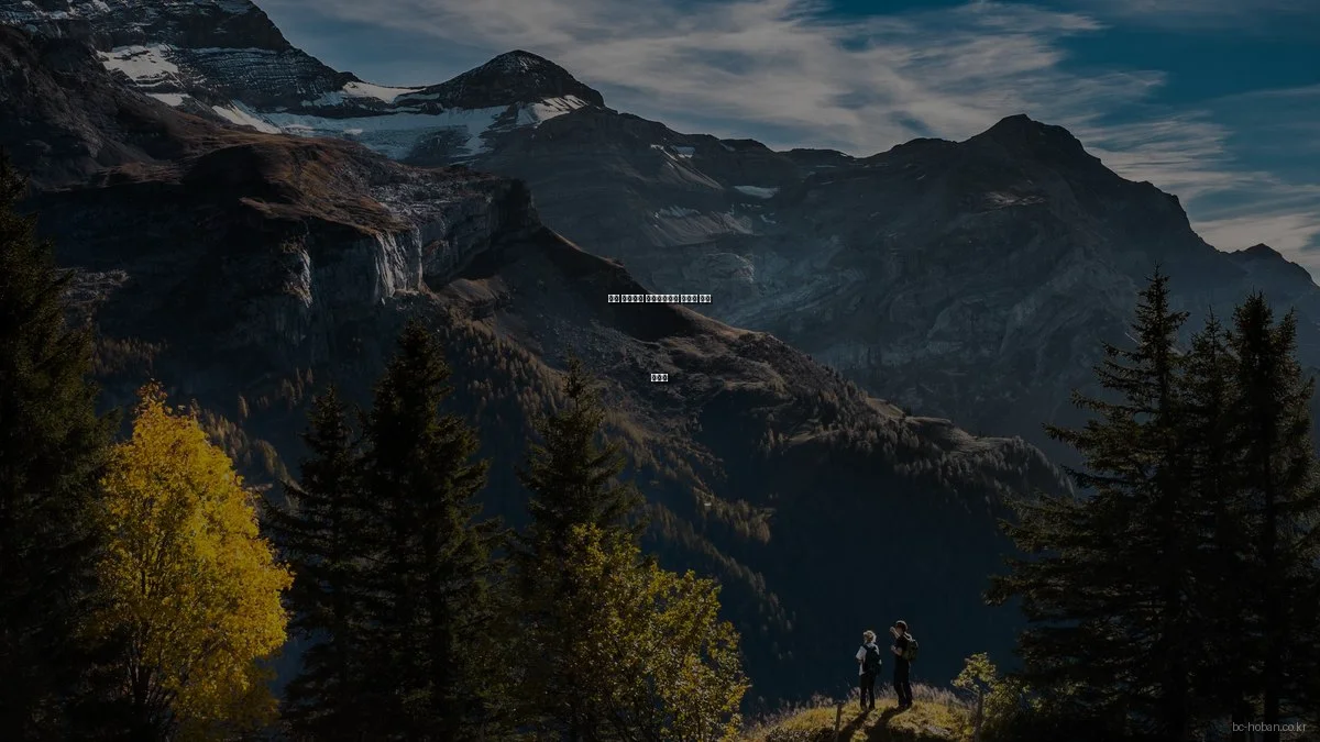 경산 하양지구 호반베르디움 초보자 계약 가이드