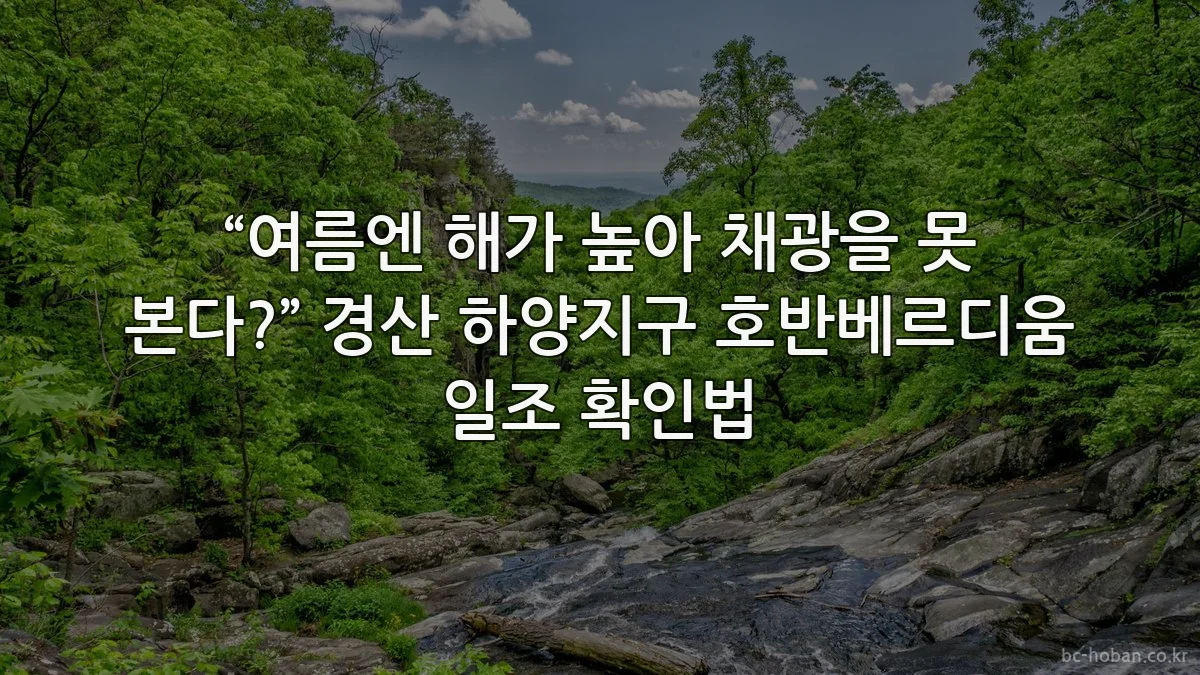 “여름엔 해가 높아 채광을 못 본다?” 경산 하양지구 호반베르디움 일조 확인법