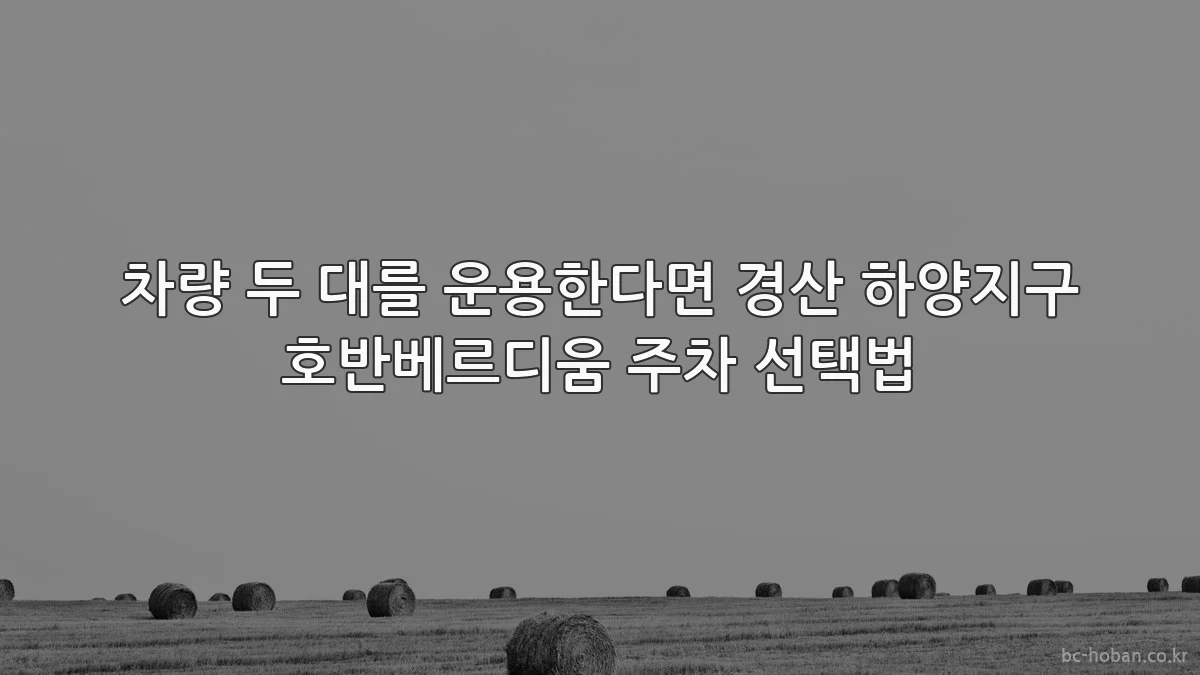 차량 두 대를 운용한다면 경산 하양지구 호반베르디움 주차 선택법