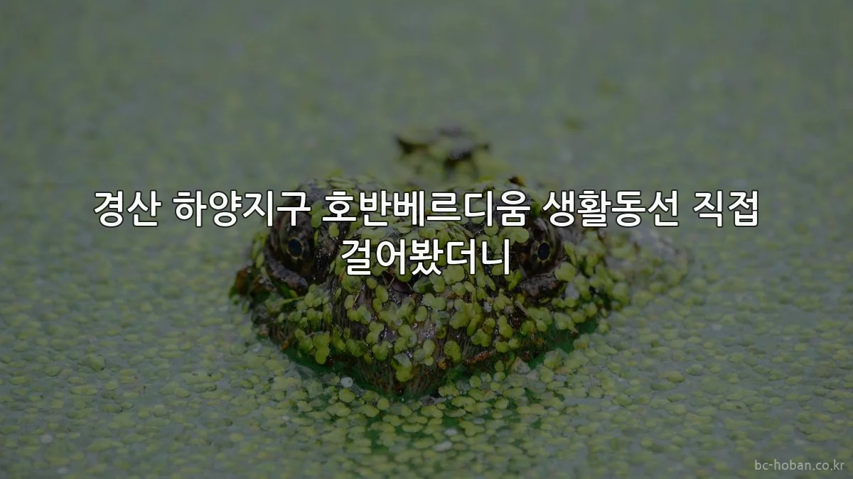 경산 하양지구 호반베르디움 생활동선 직접 걸어봤더니