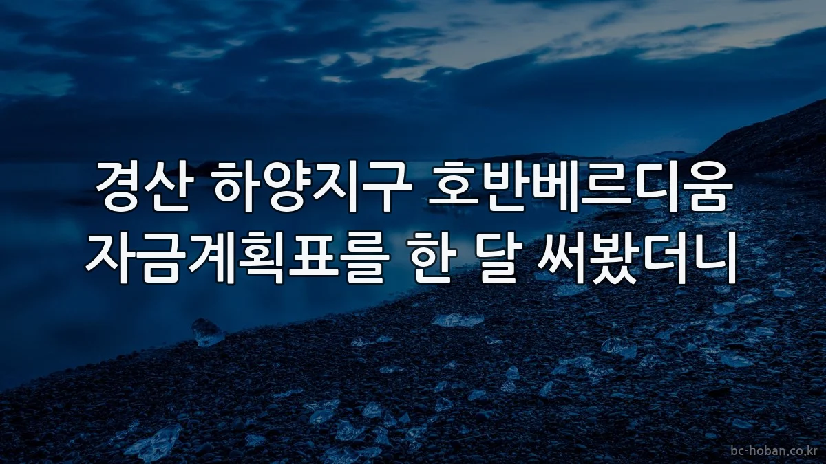 경산 하양지구 호반베르디움 자금계획표를 한 달 써봤더니