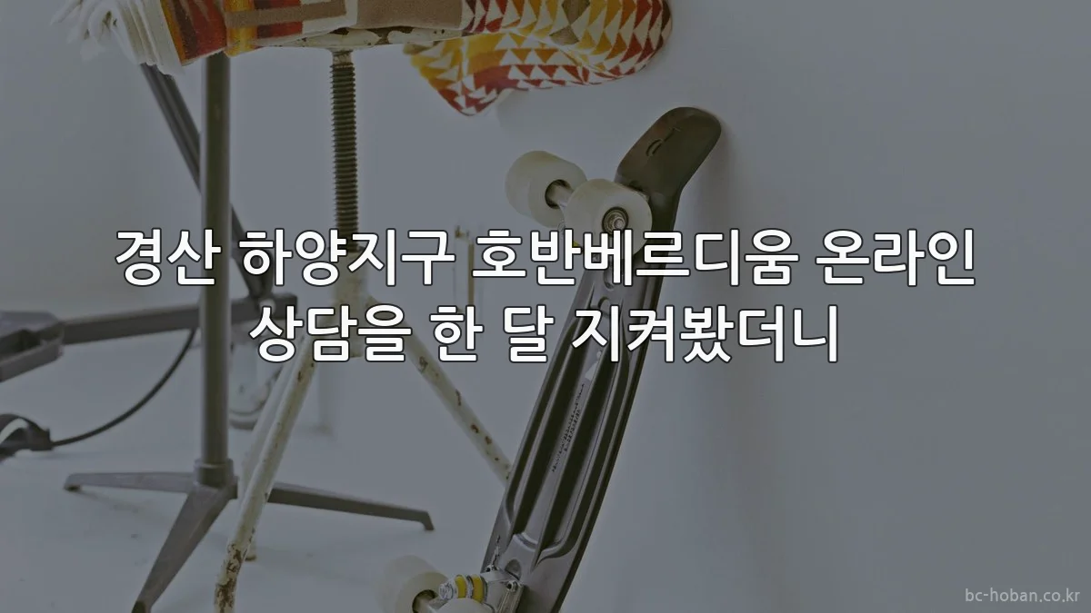 경산 하양지구 호반베르디움 온라인 상담을 한 달 지켜봤더니