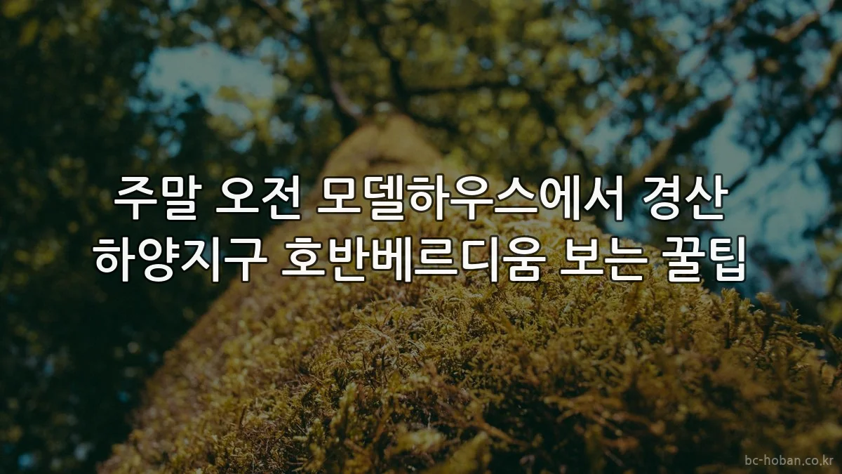 주말 오전 모델하우스에서 경산 하양지구 호반베르디움 보는 꿀팁