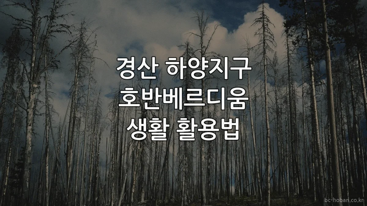 경산 하양지구 호반베르디움 생활 활용법