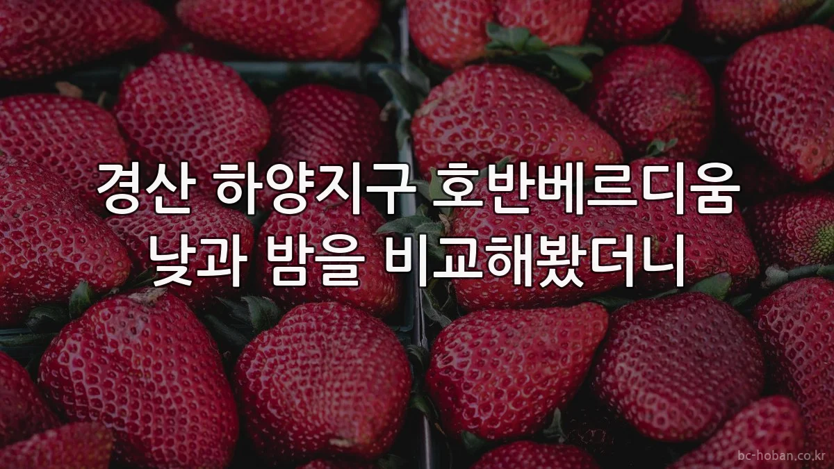 경산 하양지구 호반베르디움 낮과 밤을 비교해봤더니