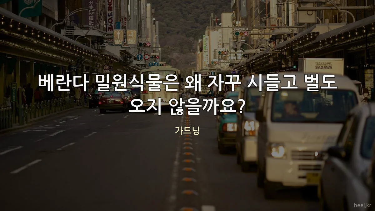 베란다 밀원식물은 왜 자꾸 시들고 벌도 오지 않을까요?