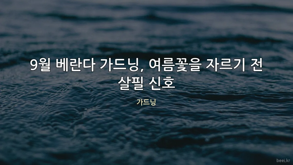 9월 베란다 가드닝, 여름꽃을 자르기 전 살필 신호