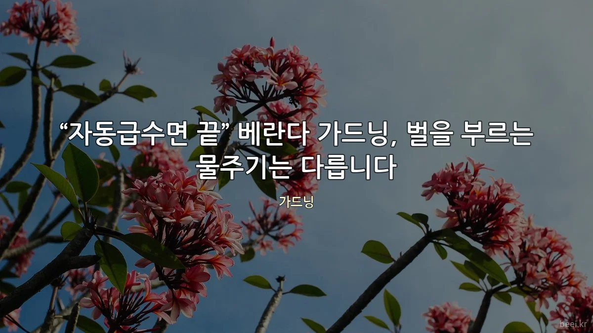 “자동급수면 끝” 베란다 가드닝, 벌을 부르는 물주기는 다릅니다