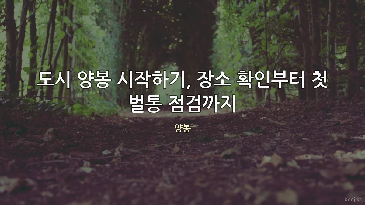 도시 양봉 시작하기, 장소 확인부터 첫 벌통 점검까지