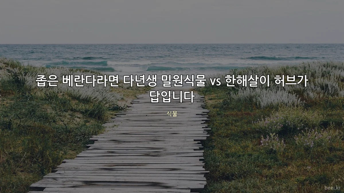 좁은 베란다라면 다년생 밀원식물 vs 한해살이 허브가 답입니다