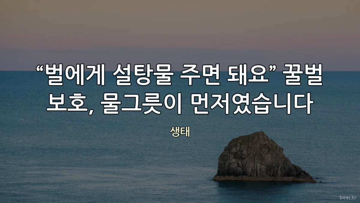 “벌에게 설탕물 주면 돼요” 꿀벌 보호, 물그릇이 먼저였습니다