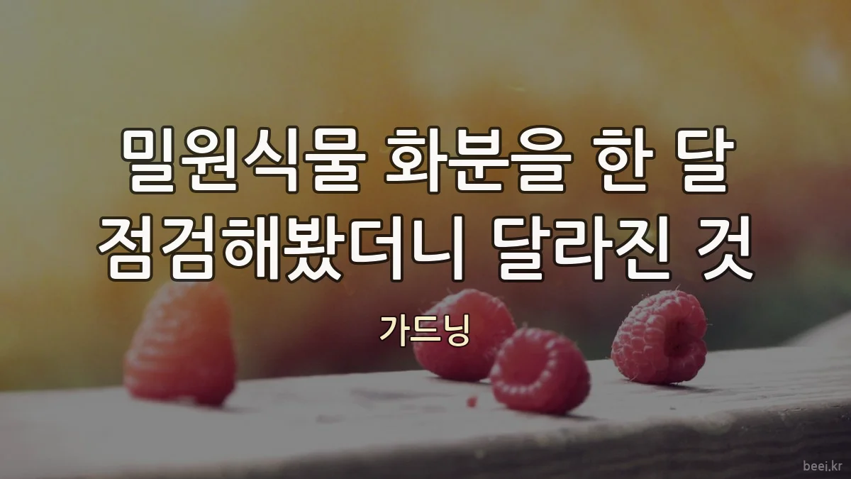 밀원식물 화분을 한 달 점검해봤더니 달라진 것