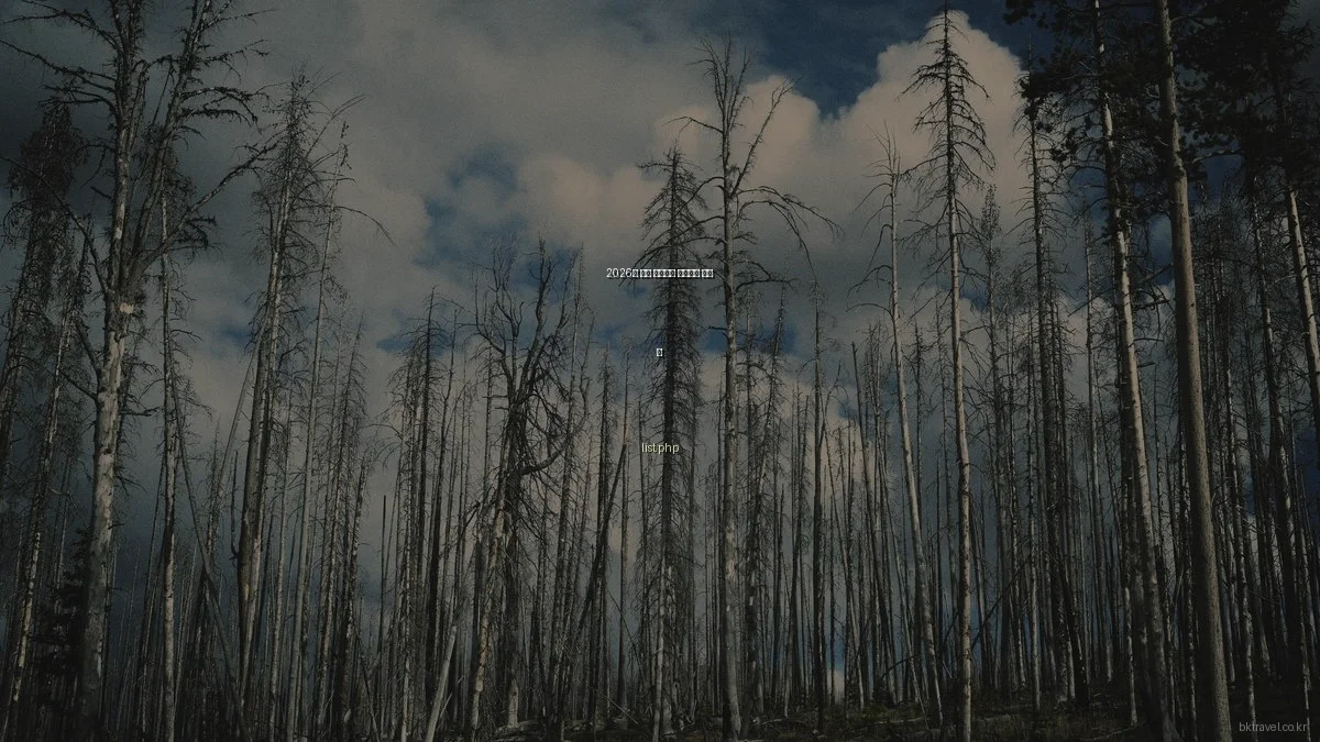 2026년 겨울 해외여행 핫스팟과 준비 팁