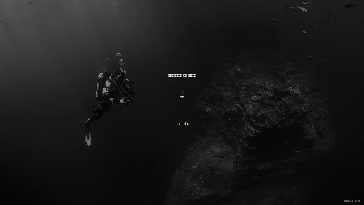 비케이투어로 즐기는 특별한 여행 스타일 가이드