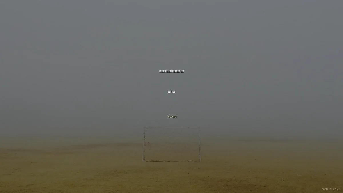 성공적인 여행 계획 체크리스트: 필수 확인 사항