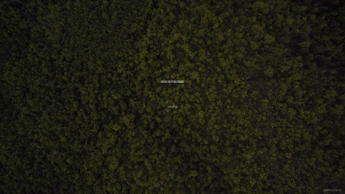 여행 상품 구매 전 필수 체크리스트