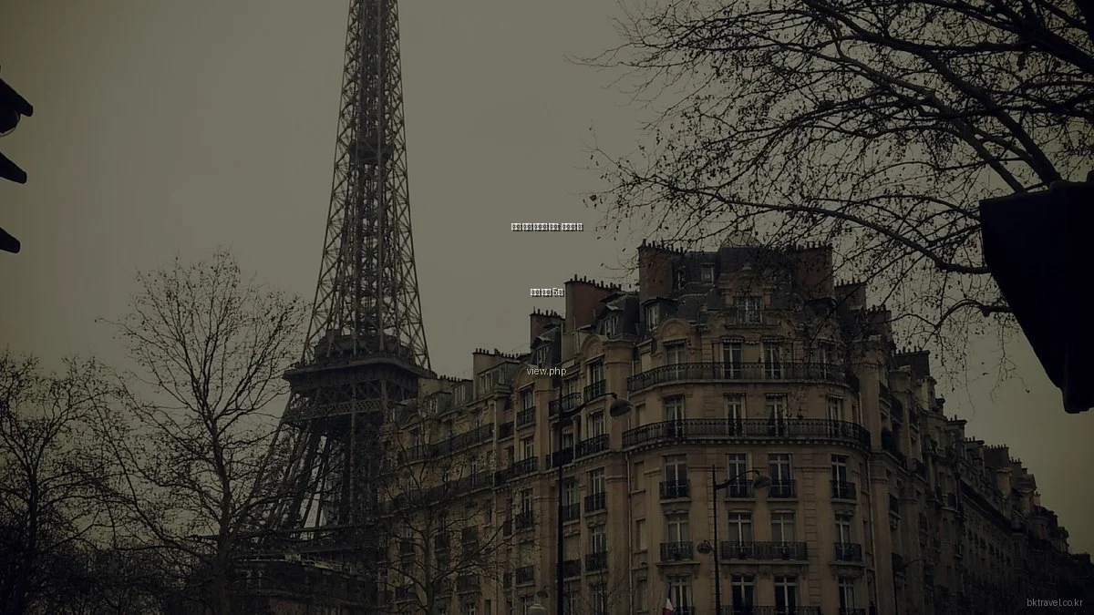 여행 실패 사례와 교훈: 피해야 할 흔한 실수 5선