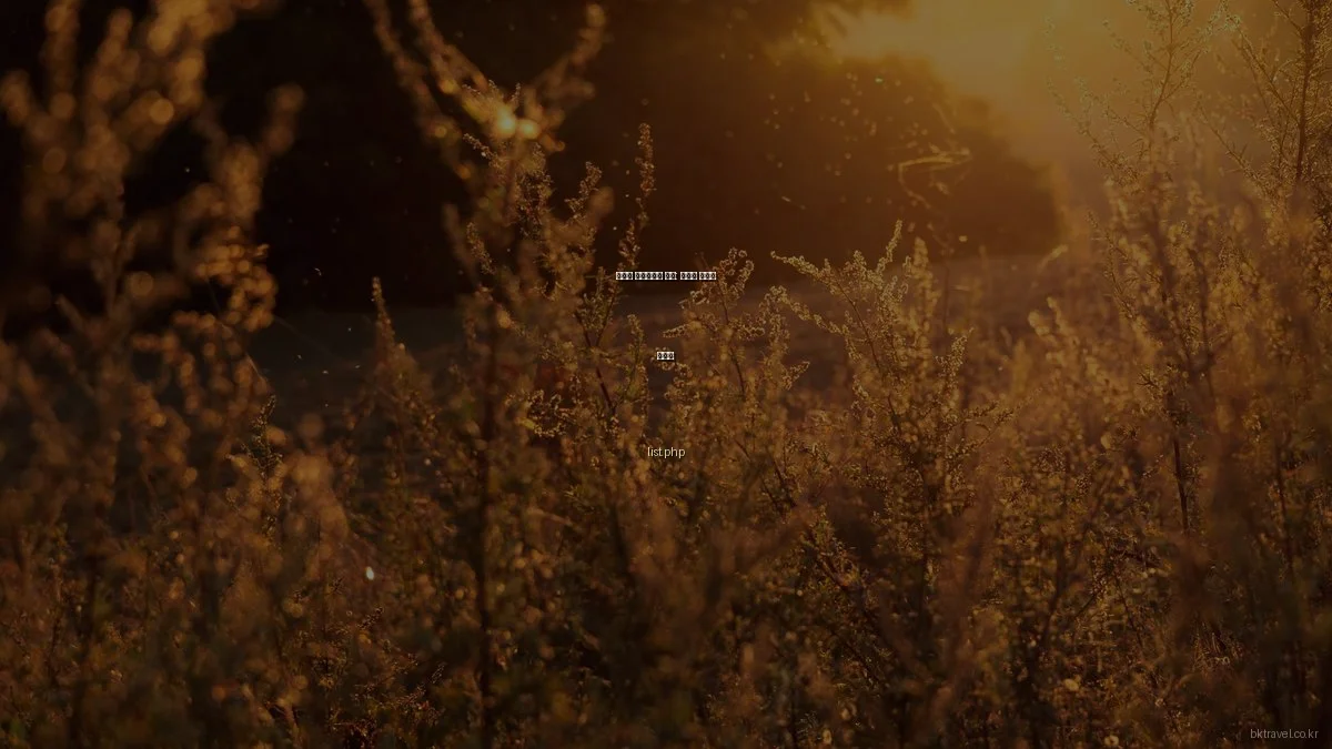 봄맞이 국내여행지 추천: 지역별 꽃축제 가이드