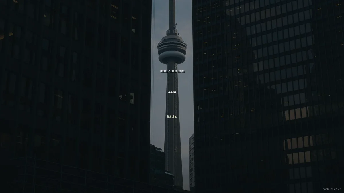 체크리스트 vs 프로모션: 최적 여행 준비 선택법