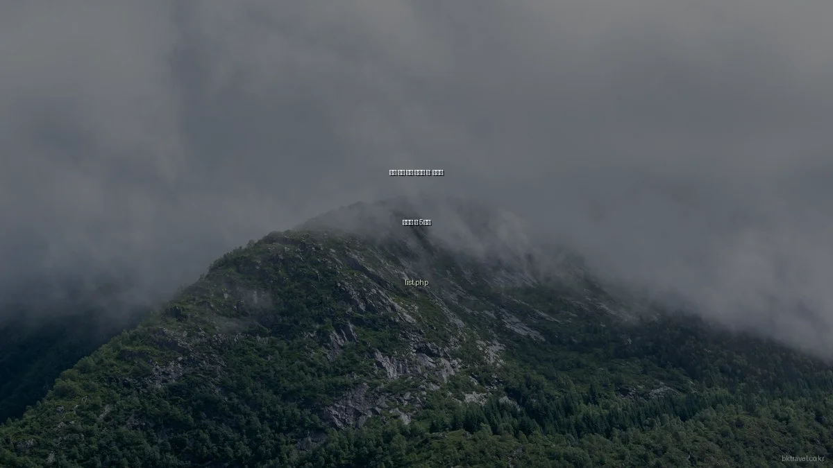 봄철 유럽 여행 최적화 팁: 놓치지 말아야 할 5가지