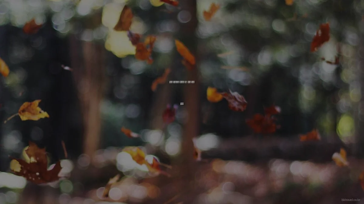 유럽 자유여행 최적화 팁: 실전 사용 후기