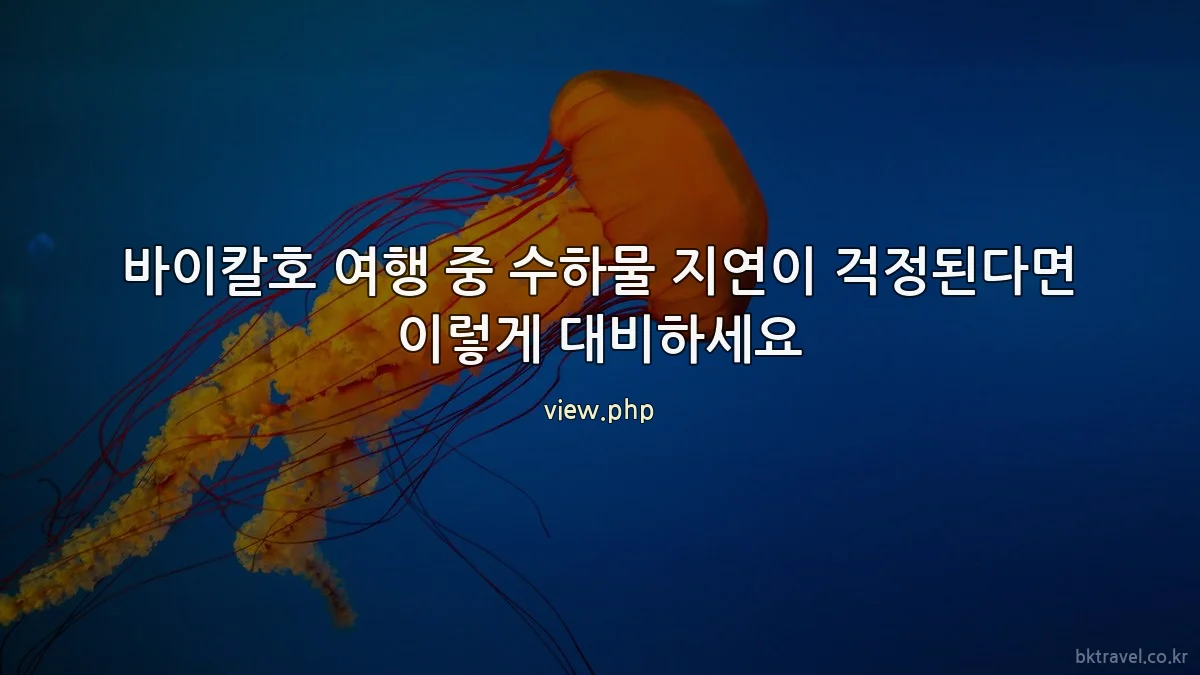 바이칼호 여행 중 수하물 지연이 걱정된다면 이렇게 대비하세요