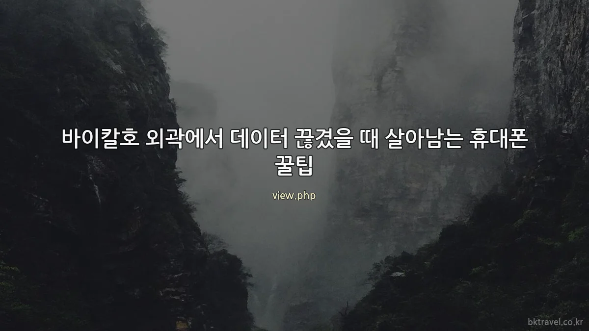 바이칼호 외곽에서 데이터 끊겼을 때 살아남는 휴대폰 꿀팁